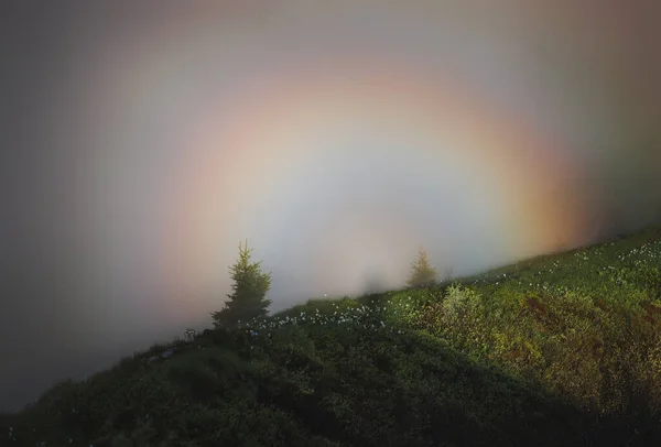 Mgła Tocząca Się Nad Wzgórzami Wschodzie Słońca Tęczą Glorii — Zdjęcie stockowe