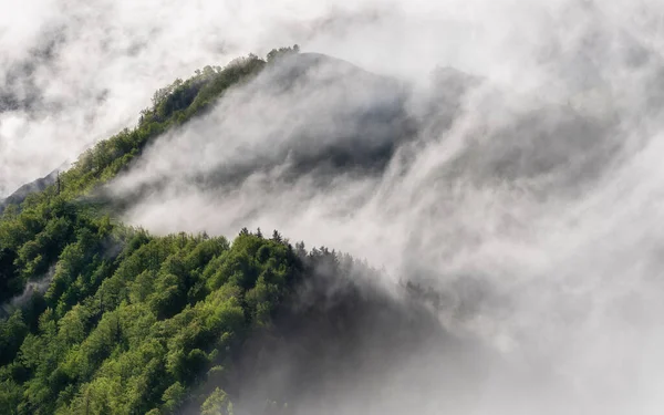 Nebel Wälzt Sich Bei Sonnenaufgang Über Hügel — Stockfoto