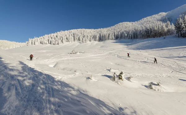 Zimowa Bajka Lesie Zaraz Świeżym Śniegu — Zdjęcie stockowe