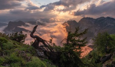 Vadide sis varken dağlarda canlı bir gün doğumu. Gün doğumunda bir dağın altında orman. 