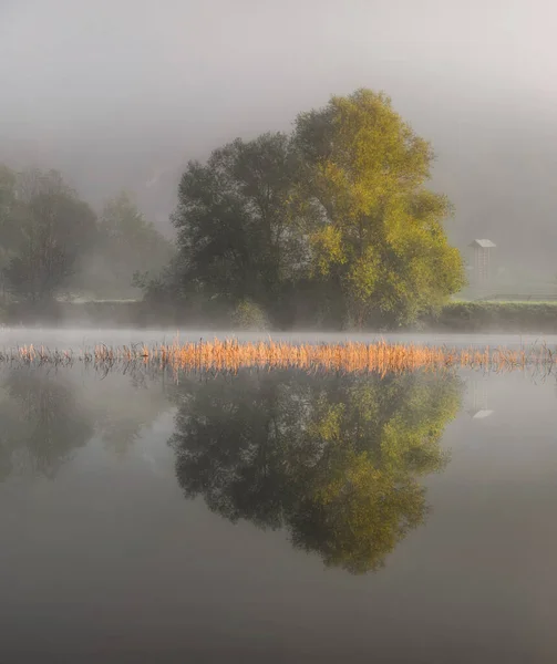 Névoa Outono Neblina Junto Lago Com Belos Reflexos Calmos — Fotografia de Stock