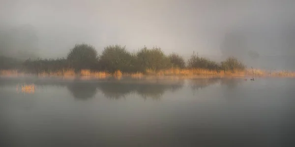 Brume Automne Brouillard Bord Lac Avec Belles Reflets Calmes — Photo