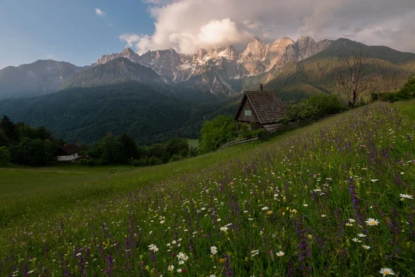 Flores Prado Nas Montanhas Com Uma Pequena Casa Campo Paraíso — Fotografia de Stock