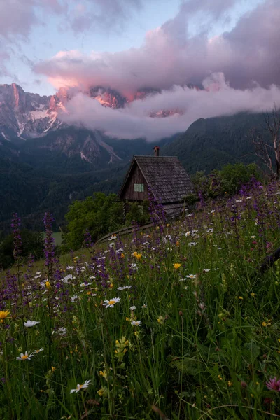 Flores Prado Nas Montanhas Com Uma Pequena Casa Campo Paraíso — Fotografia de Stock