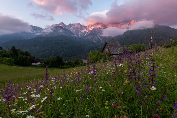 Blommor Ängen Bergen Med Liten Stuga Paradiset — Stockfoto