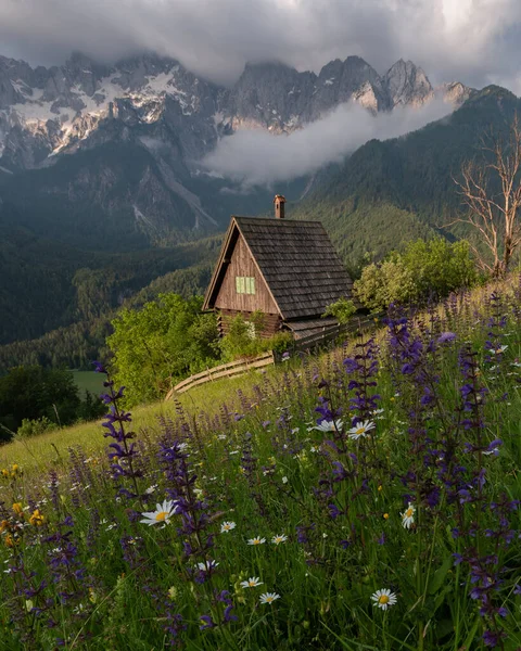 Flores Prado Nas Montanhas Com Uma Pequena Casa Campo Paraíso — Fotografia de Stock