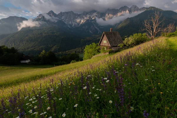 山上的草地上开满了花 天堂里还有一座小房子 — 图库照片