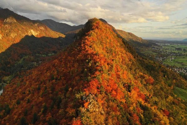 Autunno Sul Crinale Montagna Con Una Vasta Foresta Bei Colori — Foto Stock