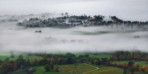 Nebliger Herbstmorgen Der Landschaft Sloweniens — Stockfoto