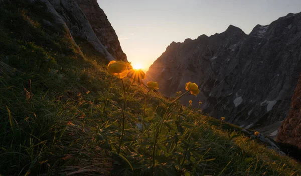 Summer Julian Alps Mountain Landscape — Stock Photo, Image