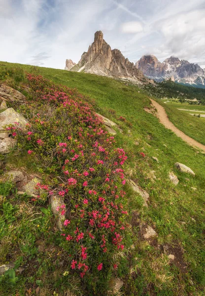 Dağ Manzarası Talyan Dolomitlerle Giau Geçiyor — Stok fotoğraf