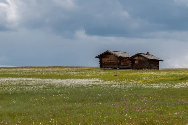 Gyönyörű Táj Seiser Alm Fennsíkon Dolomitok Hegyeiben — Stock Fotó