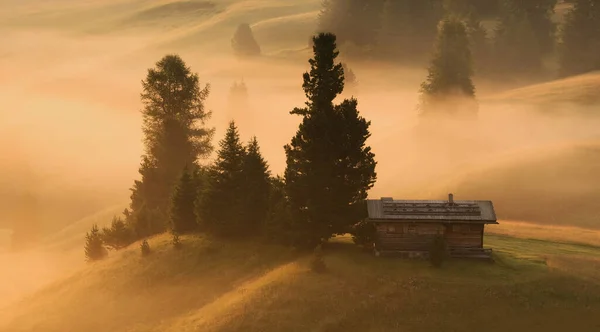 Bergwiesen Der Dolomiten Morgennebel Und Nebel Mit Ätherischer Atmosphäre — Stockfoto