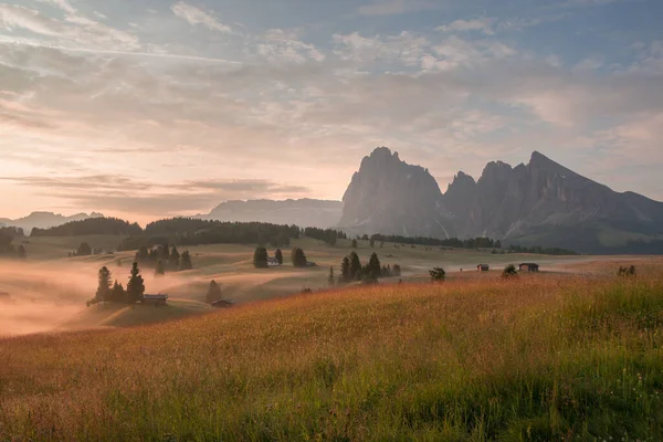 Dolomiternas Ängar Morgonen Dimma Och Dimma Med Eterisk Atmosfär — Stockfoto