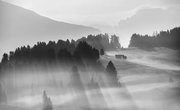 Ομίχλη Ανατολή Στα Βουνά Των Δολομιτών — Φωτογραφία Αρχείου