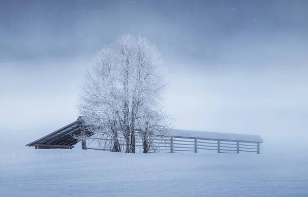 Matin Dans Campagne Glacée — Photo