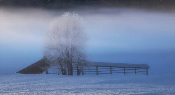 Morgen Der Frostigen Landschaft — Stockfoto