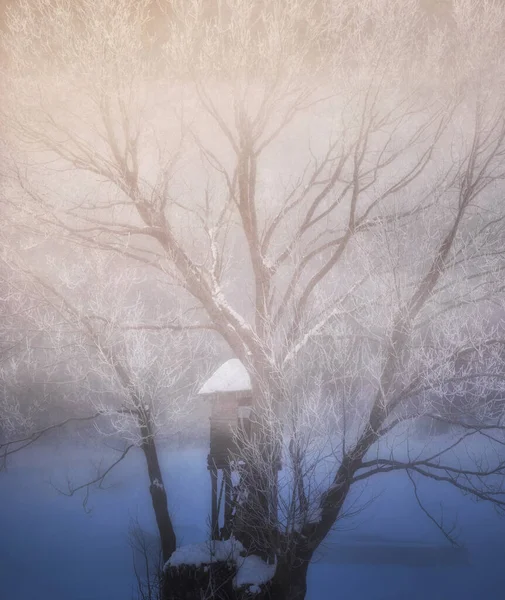 Matin Dans Campagne Glacée — Photo