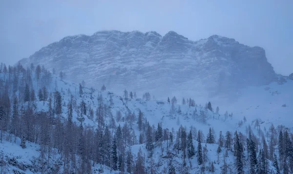 Snowy Mountains Italian Alps — Stock Photo, Image