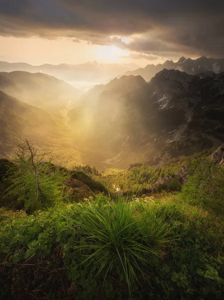 Linda Manhã Verão Nas Montanhas Julian Alps — Fotografia de Stock