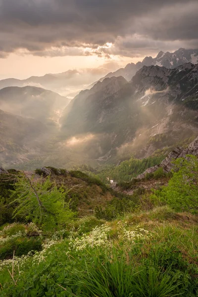 Hermosa Mañana Verano Las Montañas Los Alpes Julianos — Foto de Stock