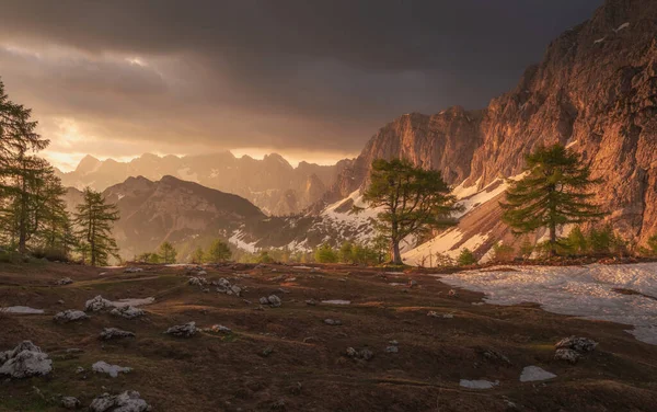 Piękny Letni Poranek Górach Alp Julijskich — Zdjęcie stockowe