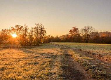 Tarlada gün doğumu. Çayırdaki terk edilmiş bir yolda güneş parlıyor..