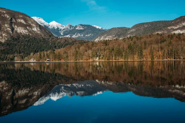 Julian Alps Teki Bohinj Gölü Kıyısında Sonbahar Manzarası Bulutlu Bir — Stok fotoğraf