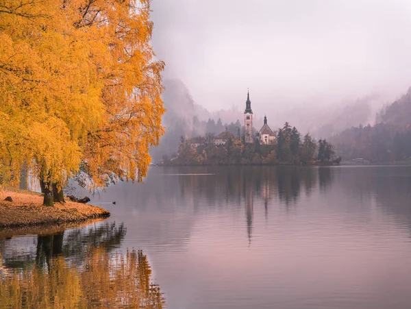 Foggy Och Mystisk Höst Vid Sjön Bled Slovenien — Stockfoto