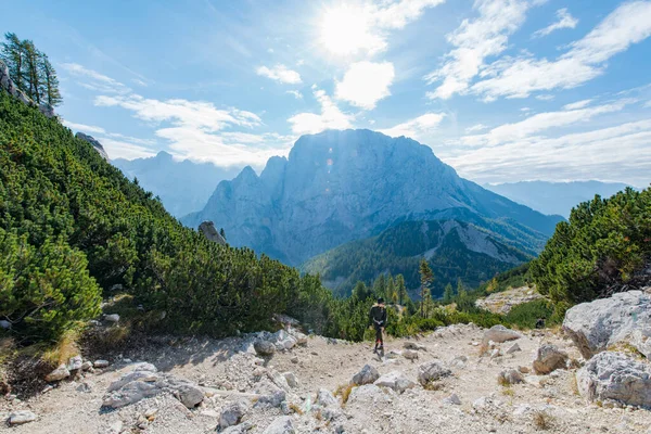 在美丽的阿尔卑斯山森林里远足 这是一条从Vrsic山口到Slemenova Spica的小径 望向Jalovec山 — 图库照片