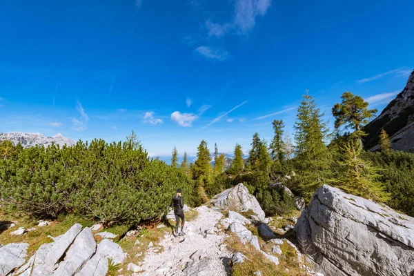 Randonnée Pédestre Dans Belle Forêt Des Alpes Est Chemin Col — Photo