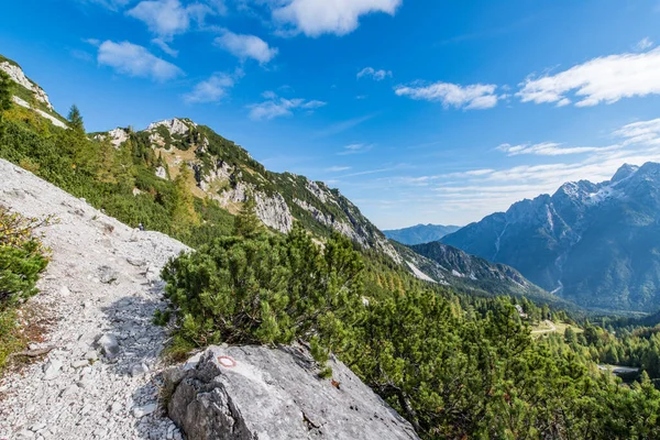 Senderismo Hermoso Bosque Los Alpes Este Camino Desde Paso Montaña —  Fotos de Stock