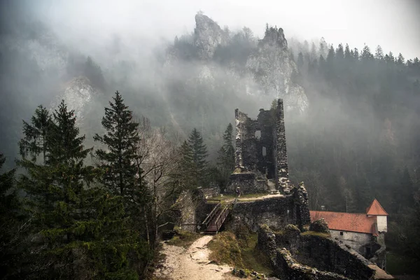 Stimmungsvoller Herbstwald Mit Nebel Und Nebel Einem Düsteren Tag — Stockfoto