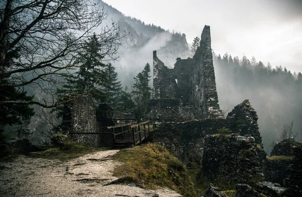 Náladový Podzimní Les Mlhou Mlhou Ponurém Dni — Stock fotografie