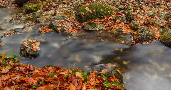 Potok Lese Podzim — Stock fotografie