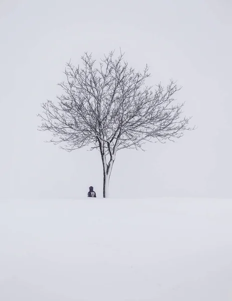 Winter Auf Dem Land — Stockfoto