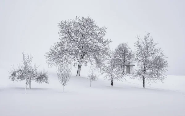 Inverno Campo — Fotografia de Stock
