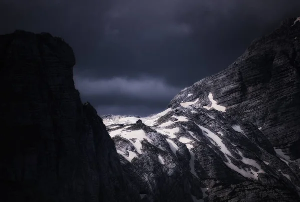 Альпийский Горный Козел Джулианских Альпах — стоковое фото