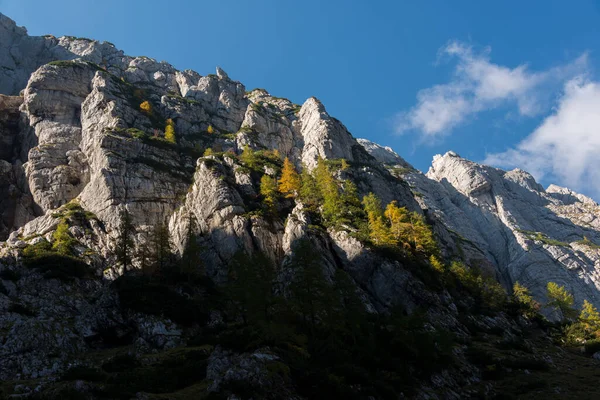 Herbst Den Bergen — Stockfoto