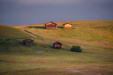 Seiser Sadm dramatik ve kasvetli bir sabahta