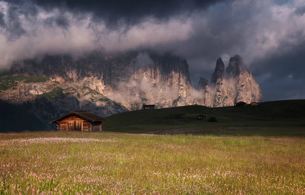 Alpe Siusi Una Mattina Drammatica Cupa — Foto Stock