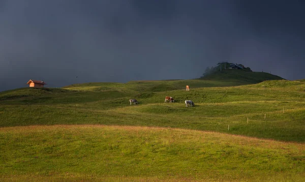 Seiser Alm Einem Dramatischen Und Düsteren Morgen — Stockfoto