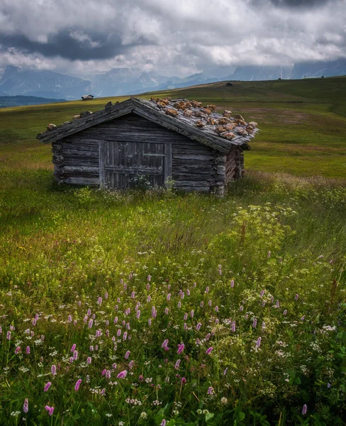 Vendégházak Táj Seiser Alm Dolomitokban — Stock Fotó