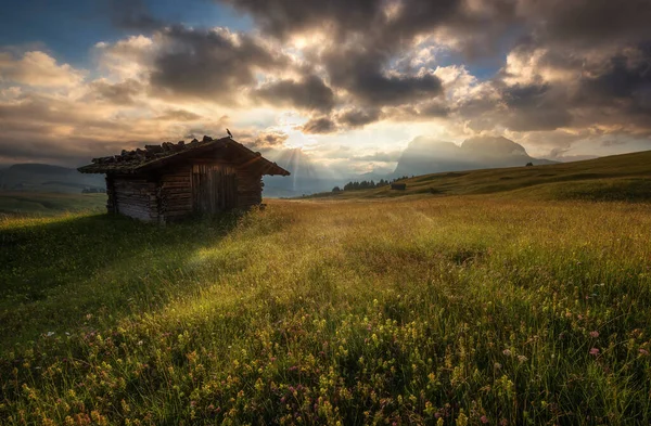 Camping Avec Des Cabanes Bungalows Seiser Alm Dans Les Dolomites — Photo