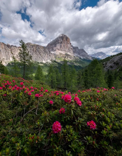 Dolomitlerdeki Falzarego Geçidi Üzerindeki Dağ Manzarası — Stok fotoğraf