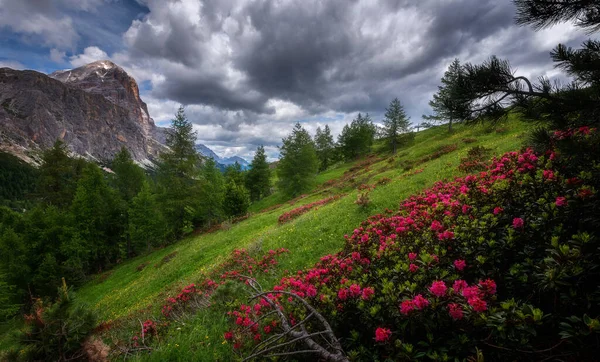 Paisagem Montanhosa Acima Passo Falzarego Nas Dolomitas — Fotografia de Stock