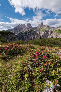 Güneşli bir günde Tre Cime di Lavaredo