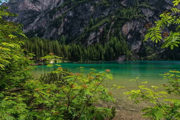 Озеро Брайс Доломитовых Альпах Летний Сезон — стоковое фото