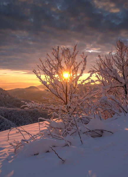 Jamnik güzel bir kış sabahı