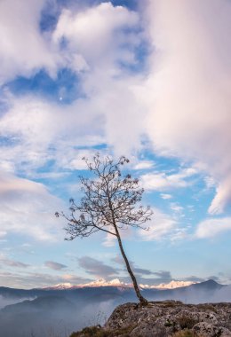 Vadideki ağaçlar ve ormanlarla kırsalda sabah